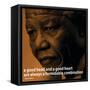 Nelson Mandela Quote iNspire 2 Motivational Poster-null-Framed Stretched Canvas