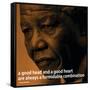 Nelson Mandela Quote iNspire 2 Motivational Poster-null-Framed Stretched Canvas