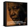 Nelson Mandela Quote iNspire 2 Motivational Poster-null-Framed Stretched Canvas