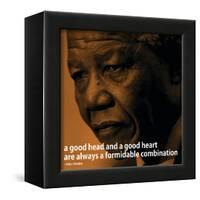 Nelson Mandela Quote iNspire 2 Motivational Poster-null-Framed Art Print