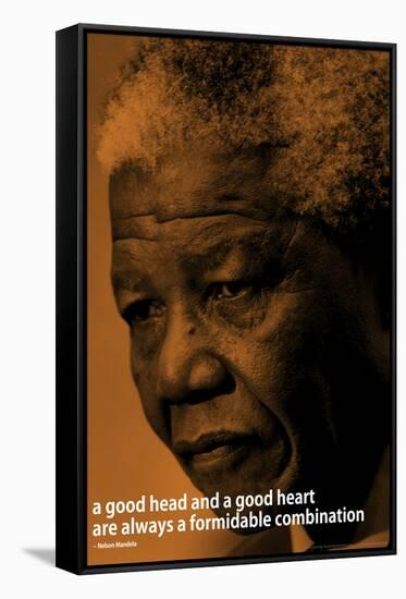 Nelson Mandela Quote iNspire Motivational Poster-null-Framed Stretched Canvas