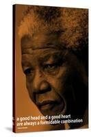 Nelson Mandela Quote iNspire Motivational Poster-null-Stretched Canvas