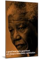 Nelson Mandela Quote iNspire Motivational Poster-null-Mounted Poster