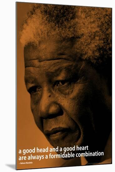 Nelson Mandela Quote iNspire Motivational Poster-null-Mounted Poster