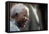 Nelson Mandela-Themba Hadebe-Framed Stretched Canvas