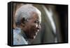 Nelson Mandela-Themba Hadebe-Framed Stretched Canvas