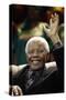 Nelson Mandela-Themba Hadebe-Stretched Canvas