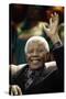 Nelson Mandela-Themba Hadebe-Stretched Canvas