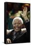 Nelson Mandela-Themba Hadebe-Framed Stretched Canvas