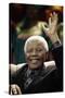 Nelson Mandela-Themba Hadebe-Stretched Canvas