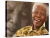 Nelson Mandela-Denis Farrell-Stretched Canvas