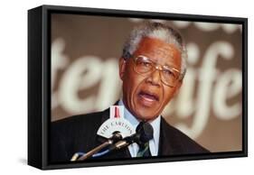 Nelson Mandela-John Parkin-Framed Stretched Canvas