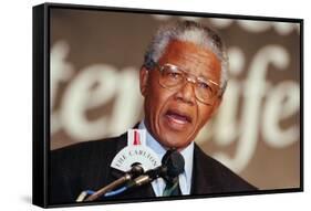 Nelson Mandela-John Parkin-Framed Stretched Canvas