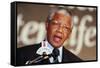 Nelson Mandela-John Parkin-Framed Stretched Canvas