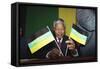 Nelson Mandela-Denis Paquin-Framed Stretched Canvas