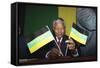 Nelson Mandela-Denis Paquin-Framed Stretched Canvas