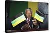 Nelson Mandela-Denis Paquin-Stretched Canvas