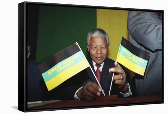 Nelson Mandela-Denis Paquin-Framed Stretched Canvas