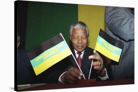 Nelson Mandela-Denis Paquin-Stretched Canvas