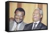 Nelson Mandela-Joao Silva-Framed Stretched Canvas