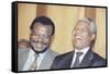 Nelson Mandela-Joao Silva-Framed Stretched Canvas