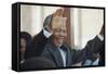 Nelson Mandela-John Parkin-Framed Stretched Canvas