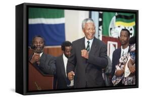 Nelson Mandela-David Brauchli-Framed Stretched Canvas