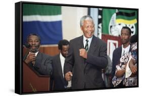 Nelson Mandela-David Brauchli-Framed Stretched Canvas