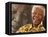 Nelson Mandela-Denis Farrell-Framed Stretched Canvas