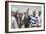 Nelson Mandela-David Brauchli-Framed Photographic Print