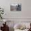 Nelson Mandela-David Brauchli-Mounted Photographic Print displayed on a wall