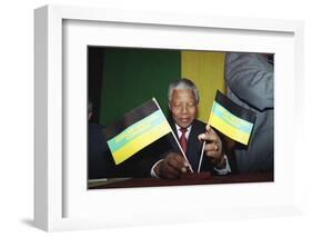 Nelson Mandela-Denis Paquin-Framed Photographic Print