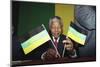 Nelson Mandela-Denis Paquin-Mounted Photographic Print