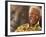 Nelson Mandela-Denis Farrell-Framed Photographic Print