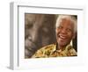 Nelson Mandela-Denis Farrell-Framed Photographic Print