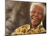 Nelson Mandela-Denis Farrell-Mounted Photographic Print