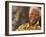 Nelson Mandela-Denis Farrell-Framed Photographic Print