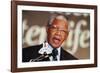 Nelson Mandela-John Parkin-Framed Photographic Print