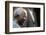 Nelson Mandela-Themba Hadebe-Framed Photographic Print