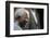 Nelson Mandela-Themba Hadebe-Framed Photographic Print