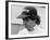 Nelson Piquet at the British Grand Prix, Silverstone, 1985-null-Framed Photographic Print