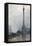 Nelson's Column in a Fog-Rose Maynard Barton-Framed Stretched Canvas