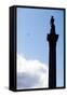 Nelson's Column, Trafalgar Square, London-Felipe Rodriguez-Framed Stretched Canvas