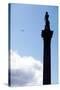 Nelson's Column, Trafalgar Square, London-Felipe Rodriguez-Stretched Canvas