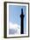 Nelson's Column, Trafalgar Square, London-Felipe Rodriguez-Framed Photographic Print