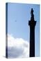 Nelson's Column, Trafalgar Square, London-Felipe Rodriguez-Stretched Canvas