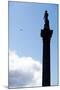 Nelson's Column, Trafalgar Square, London-Felipe Rodriguez-Mounted Photographic Print
