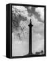 Nelson's Column-null-Framed Stretched Canvas