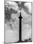 Nelson's Column-null-Mounted Photographic Print