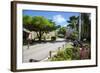 Nelson's Dockyard, Antigua, Leeward Islands, West Indies, Caribbean, Central America-Frank Fell-Framed Photographic Print